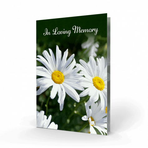 daisy memorial card