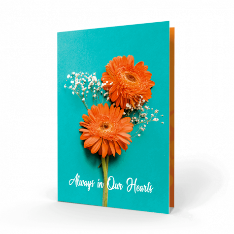 Orange Daisy Flower Memorial Card (FMC-12)