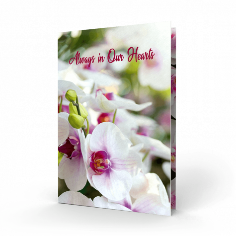 Pink and White Flower Memorial Card (FMC-16)