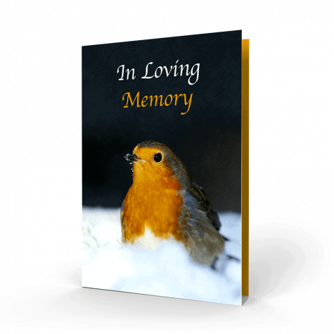 Robin in the Snow Memorial Card