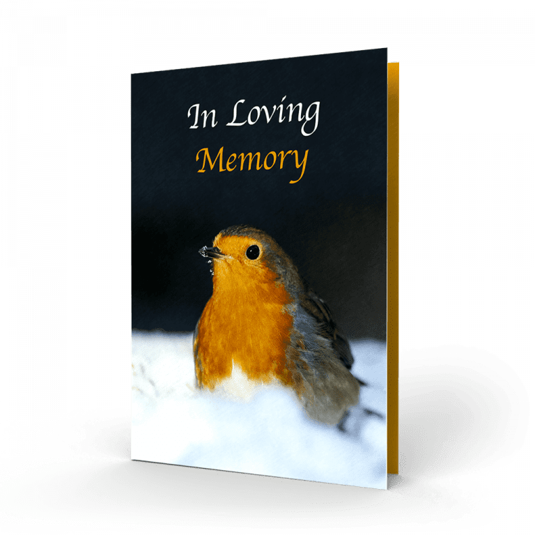 robin-in-the-snow-memorial-card-irish-bird-cards