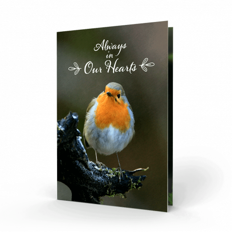 irish-robin-red-breast-memorial-card