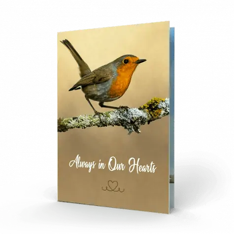 irish-robin-memorial-card