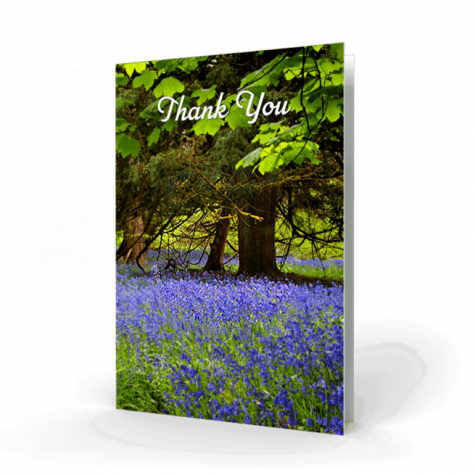 bluebells-in-the-woods-thank-you-card