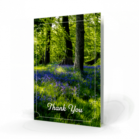 Bluebells in Forest Acknowledgement Card