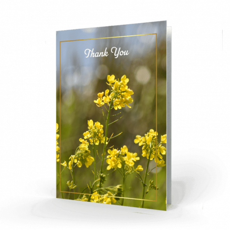 yellow-flowers-acknowledgment-card