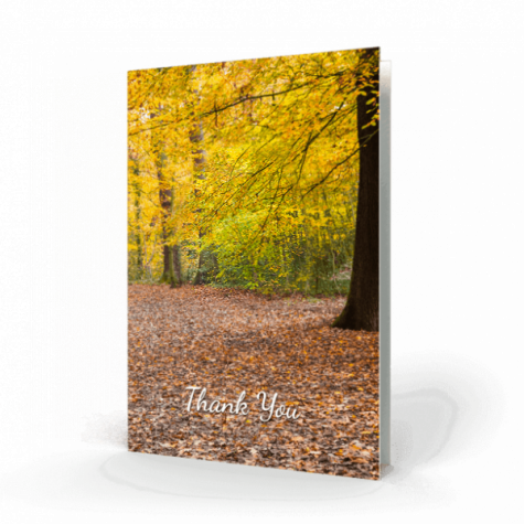 autums-in-woods-acknowledgment-card