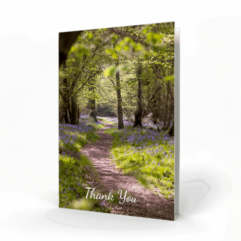 Bluebell-landscape-with-a-path-Thank-You-Card-cover