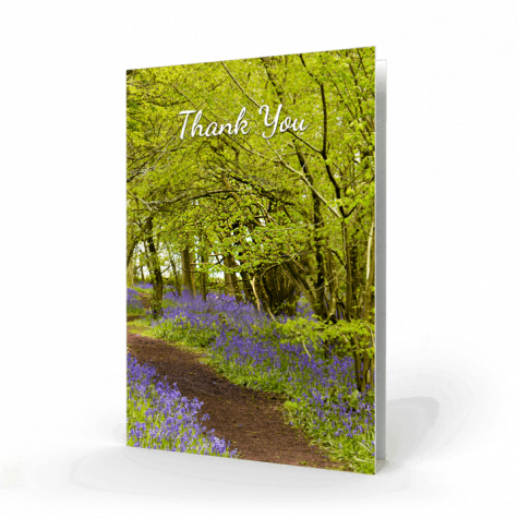 Bluebells-in-the-woods-Thank-You-Card-cover