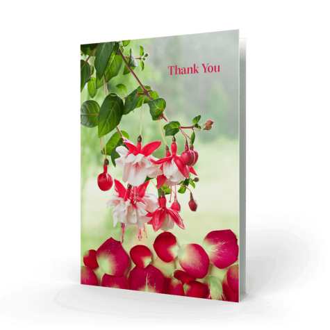 West Cork Bunch of a blossoming fuchsia Wallet Card ackn-card-cover