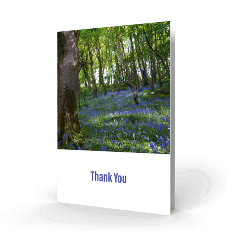 Bluebells in woods Acknowledgment Card