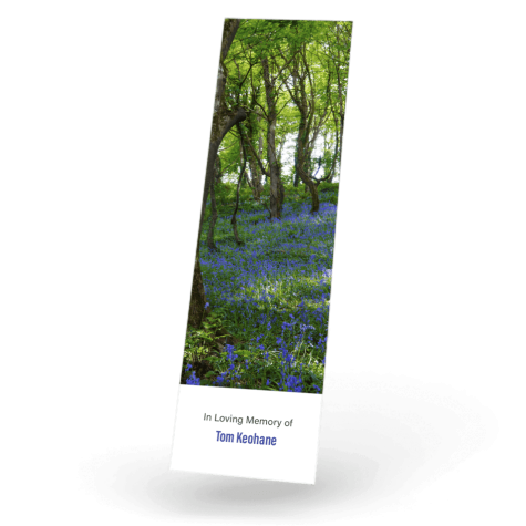 Bluebells in woods Bookmark front