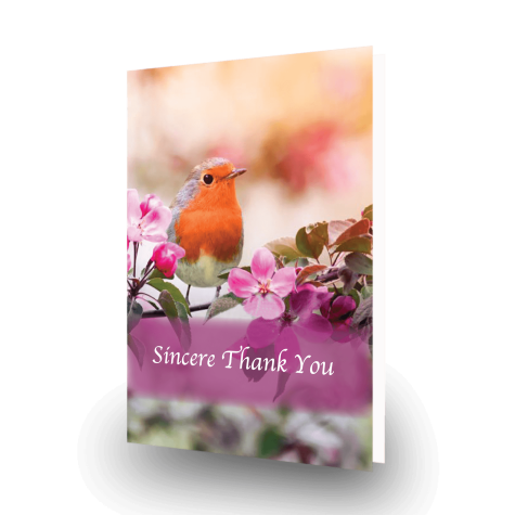 nature-acknowledgment-card-2