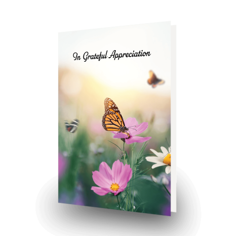 nature-acknowledgment-card-3