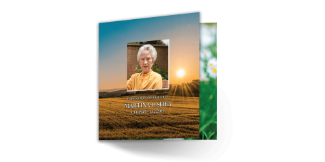 lifetime-card-17